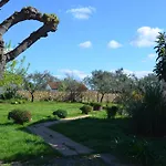 Retro In Nature Πούλα