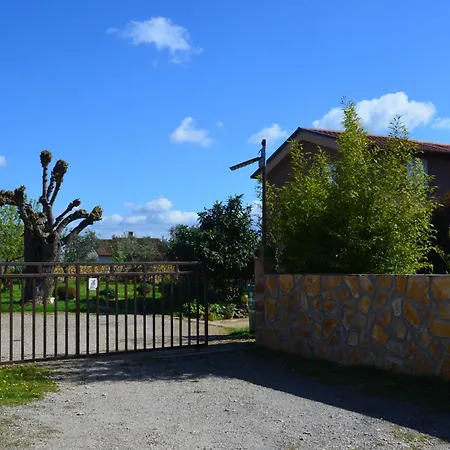 Retro In Nature Apartment Pula