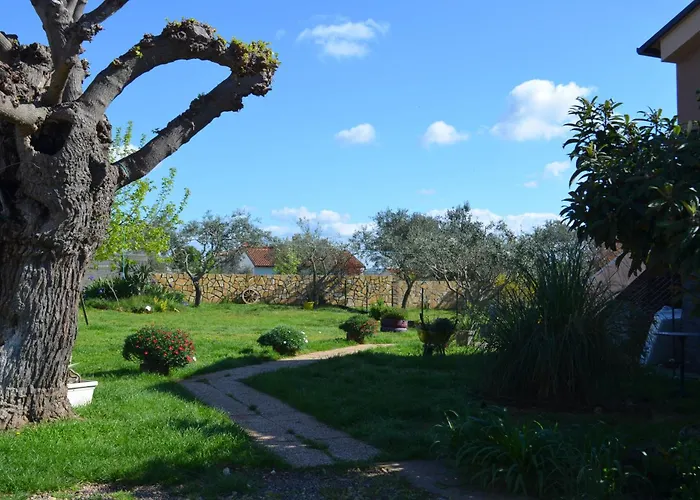 Retro In Nature Pula